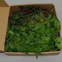 43.3 Inch Green Nandian Fake Plants 2 Pcs Greenery Stems for Vase Decor, Artificial Plants Faux Branches for Vase Filler Fake Leaves Office Home Decor