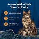 Blue Buffalo Wilderness Wild Delights Minced Natural Wet Cat Food, Chicken & Turkey in Tasty Gravy, 5.5-oz. Cans, 24-Pack