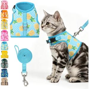BINGPET Cat Harness and Leash Set, Escape Proof and Adjustable, X-Large