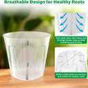 Bluepro 5 Inch Side-Open Orchid Pots 12 Pack, Clear Plastic Nursery Planters with Detachable Side Walls for Easy Repotting, Breathable Slotted Flower Pots with Drainage for Root Health