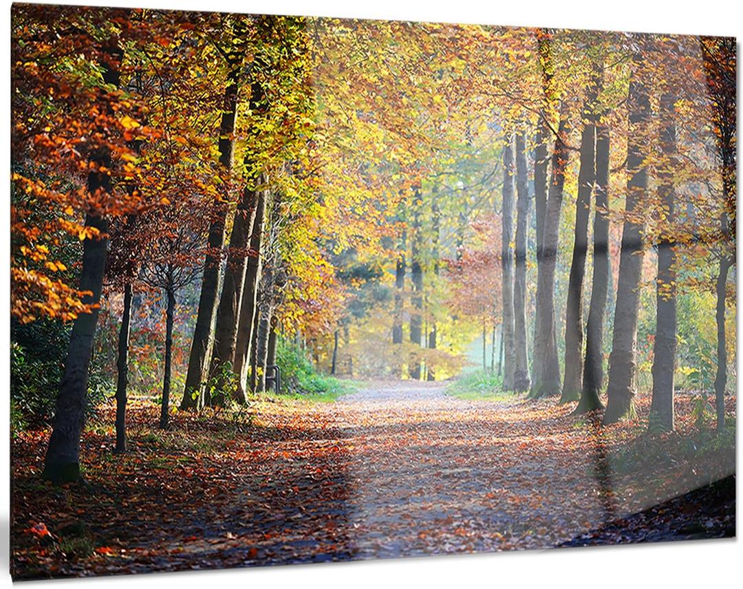 Designart Wide Pathway in Yellow Fall Forest Landscape Photo Metal Wall Art, 28x12, 12'' H x 28'' W x 1'' D 1P