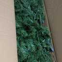 National Tree Company Pre-Lit Artificial Full Christmas Tree, Green, North Valley Spruce, White Lights, Includes Stand, 4.5 Feet