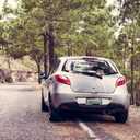 Cherry Blossom License Plate Frame  Stylish Black Frame with Pink Cherry Blossom Design, Stainless Steel Car Holder with Screws & Caps, Fits US & Canada Vehicles (Cherry Blossom)