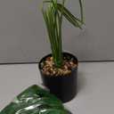 Toopify 19" Large Fake Plants Artificial Palm Tree in Pot for Indoor and Outdoor Home Office Decor (Black-16")