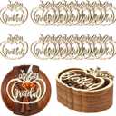 24 Pcs Fall Thanksgiving Pumpkin Wooden Plate Decor Cutouts Thankful Blessed Place Cards Wood Signs Hanging Ornament Table Decorations for Autumn Harvest Home Tabletop Plate Supplies