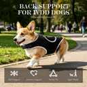 Dog Back Brace for IVDD and Slipped Disc with Metal Stays,L