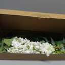 White Flowers Artificial Delphinium 9PCS with Clematis Greenery for Wedding & Home Decor