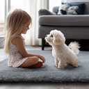 Ultra Soft Rug for Living Room, 3x5 Feet Grey Shag Area Rugs for Living Room, Modern Shaggy Carpets for Teens Dorm Nursery Home, Non Slip Indoor Rugs Floor Carpet(3 x 5, Light Grey)