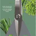 LaMi Kitchen Stainless Steel Shears, 8.5 Inch