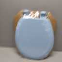Mayfair Cameron Sky Blue Toilet Seat, Non Slip Heavy Duty Wood, Easy Clean, Made in USA, Round