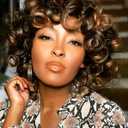 ELIM Curly Wigs for Black Women Mixed Brown Short Kinky Curly Wigs for Women Big Curly Afro Soft Wig with Bangs Heat Resistant Natural Cute Synthetic Wig with Accessories Z014BB