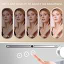 Vanity Makeup Mirror with Lights,3 Color Lighting Modes Detachable 10X Magnification Mirror Touch Control,360Rotation, White (14.6Inch)