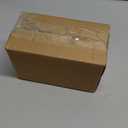 Jangostor 20 PCS Starfish, 2.5" to 4" Natural Seashells Starfish Star Fish Shells Decorations White Starfish Ornaments Perfect for Wedding Beach Theme Party Home Decorations, DIY Crafts, Fish Tank