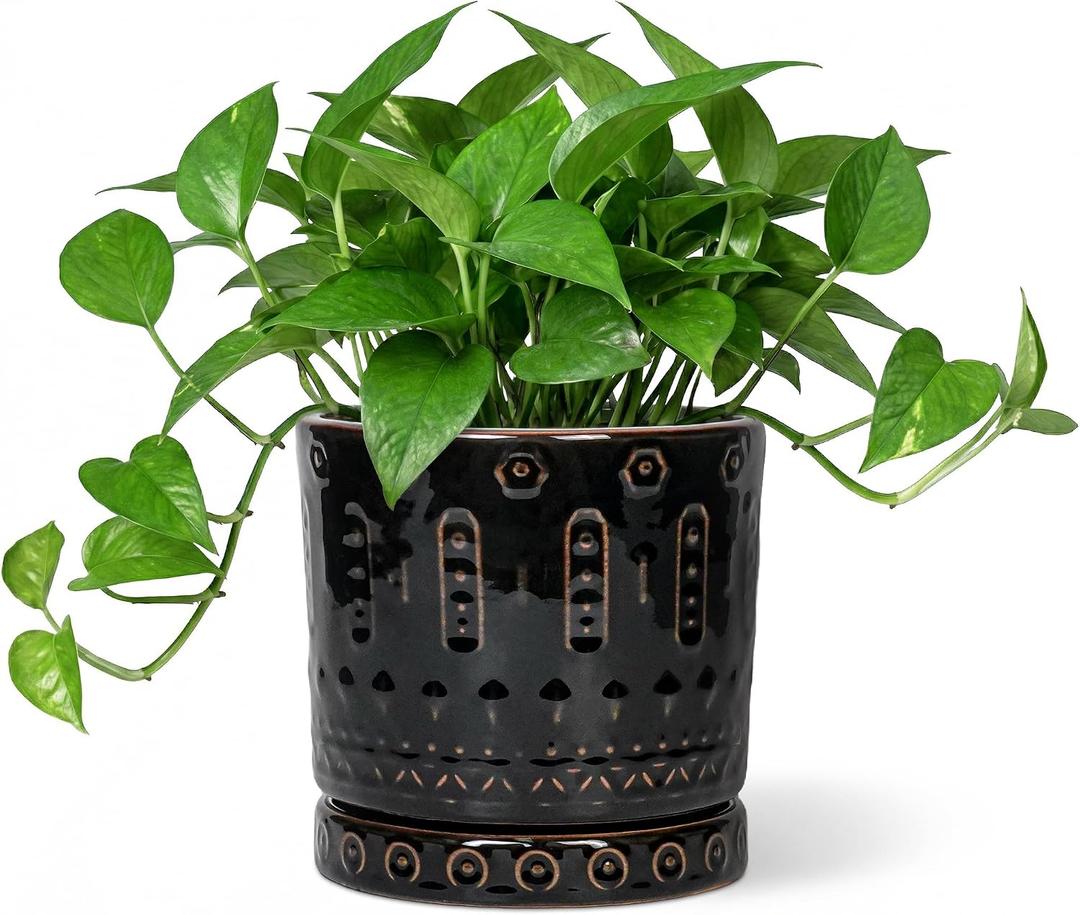 Eightpot 6 Inch Plant Pot, Ceramic Pots for Plants with Drainage Hole and Saucer, Round Planter for Indoor Outdoor Plants, Modern Decorative Flower Pots, Bedroom Decor, Gifts for Plant Lovers, Black