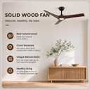 Skylike 52'' Modern Large Ceiling Fan with Light and Remote for Living Room