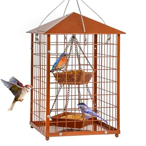 Mealworms Bird Feeders for Bluebirds - Metal - Huge Caged Squirrel-Proof Bird Feeders with 2 Cups, DIY Wild Bird Feeders Outdoor Hanging (Brown), Attract Wild Birds, 2lbs Seed Capacity+1 Mealworms Cup