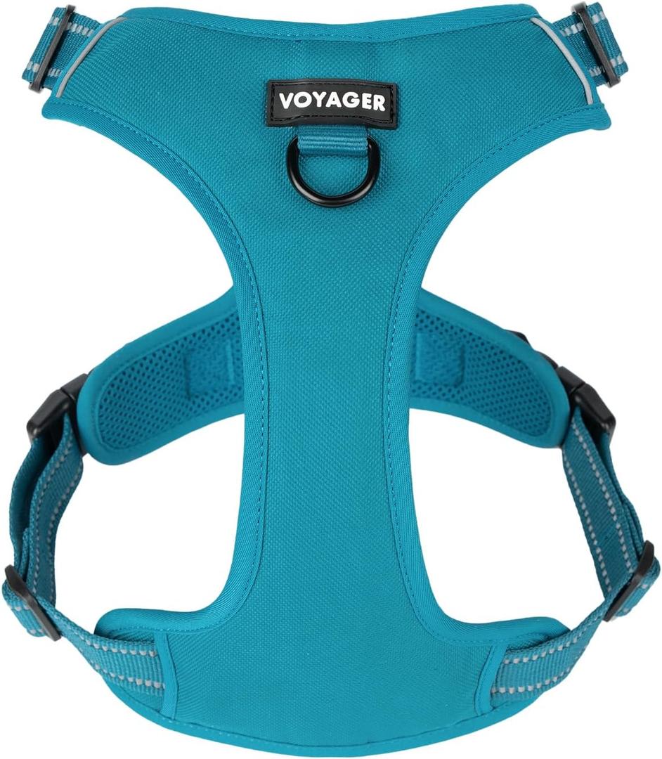 No Pull Dog Harness for Small Dogs, Dual Leash Attachments, Adjustable Soft but Strong Pet Harness with 3M Reflective Technology, Turquoise Nylon, S (Chest: 16-20")
