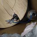 Candle Warmer Lamp with Timer and Dimmer, Dimmable Adjustable Height Candle Warming Lamp, Gifts Wax Melt Light for New Home Decor, Gold