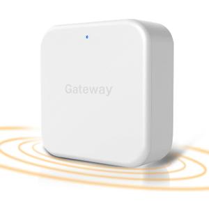 G2 Gateway for TT/DD Lock App, Gateway for Smart Door Lock with Remote Control, Only Work 2.4G Wi-Fi, Compatible with Alexa Voice Control