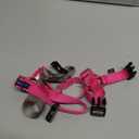 PetSafe Easy Walk Harness for Dogs - Pull-Free Walks - Patented Martingale Loop Design - Front Chest Leash Attachment - Adjustable Comfort Straps - Breathable Harness Design - Medium, Raspberry/Gray