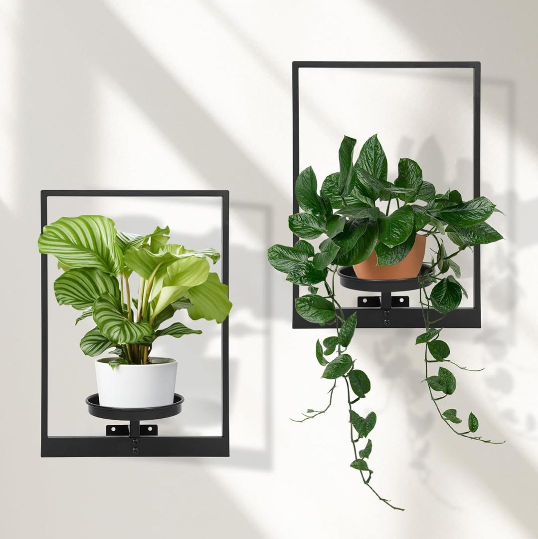 Wall Plant Holder Window Plant Shelves Set of 2, Wall Planters for Indoor Plants - Premium Metal Hanging Plant Holder for Indoor Outdoor Decor