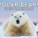 Polar Bear Calendar 2026 Monthly Wall Calender 12 Month | American Made In The USA