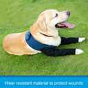 Coodeo Dog Recovery Sleeves, Cone Collar Alternative, Abrasion Resistant Dog Recovery Suit, Washable 2.5mm Thick and Waterproof, Pet Wounds Prevent Licking, Biting (Blue, XL) 