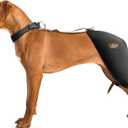 Dog Hip Brace with Hot/Cold Compress, Support for Hip Dysplasia, Arthritis, Back Leg limping, Prevents Hip Joint Issues, Reduce Hip Pain (Male Dog, XXL)