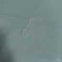 Inspire Extra Large Super Absorbent Disposable Bed Pads for Chronic Incontinence Ultra Thick and Absorbent Bed Pads Disposable Adult | Pee Pads for Adults (36" X 36" Pack of 50 W/ Adhesive)