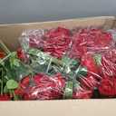 200 Pcs Red Roses Artificial Flowers, Real Touch Velvet Roses Bouquet Fake Flowers Bulk, Artificial Roses with Long Stems for Birthday Gift Women Mom DIY Bridal Wedding Centerpiece Decorations