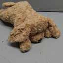 PixieCrush Adopt Me Dog Stuffed Animals for Girls Ages 3 and Up - Plush Labradoodle Dog Pillow with 4 Surprise Puppies Inside - Soft Puppy Toys for Kids - Cute Dogs Plush Set for Imaginative Play