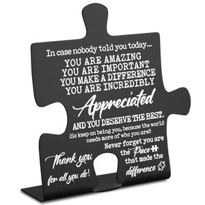 You Are Incredibly Appreciated, Affirmations Sign, Thank You Gifts for Coworkers, Boss, Women, Men, Friends. In Case No One Told You Today, Motivational Office Decorative Signs Plaques YY03
