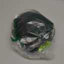 V VOLKGO Car Seat Travel Bag For Airplane with Padded Backpack Shoulder Straps, Gate Check Bag, Car Seat Bags for Air Travel Carseat Travel Cover, Carseat Travel Bag Cover for Airplane Travel