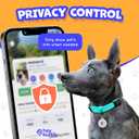 3 x HeyBuddy Slide Series - QR Code Smart Pet Tags for Dogs & Cats, Personalized Pet Tag Stores Multiple Information, Includes Passive Location Tracking, Real-Time Notification & Community Alerts (Large, Pink)