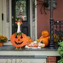 BOXOB 2pcs Halloween Porch Goose Costume, Pumpkin Shaped Porch Goose Outfits Including Clothes Hat Outdoor Patio Yard Lawn Art Decoration for 23in Duck Accessories
