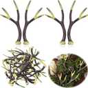 Jetec 12 Pcs Hunting Birthday Party Decorations Supplies Deer Hunting Birthday Decoration Table Centerpieces DIY Paintable Weddings and Camo Party Celebrations for DIY Crafts