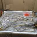 JOIN IRON 2-Piece Bistro Dining Set for Indoor Use, Marble-Look Tabletop with Gold Metal Frame, Vintage French Caf Style Round Table and Chairs for Kitchen, Breakfast Nook, Small Apartment (Gold)