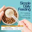 Felisyl L-Lysine Granules for Cats 100g (3.5 oz, 310 Servings)  Supports Immune, Respiratory, and Eye Health. Eases Sneezing, Runny Nose, and Watery Eyes. Tasty Salmon Flavor - Made in The USA