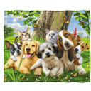 Dawhud Direct Fleece Throw Blanket By Howard Robinson Puppy And Kitten Pals
