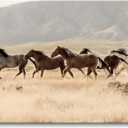 Western Horses Picture Wall Art: Wild Animals Canvas Painting Farmhouse Horses Prints Wildlife Artwork for Living Room, 36"L x 24"W