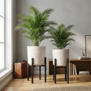 Set of 2 Large Planters 11" & 9.8", Modern Resin Plant Pots with Drainage Holes, Decorative Flower Pots for Living Room, Office, Garden and Balcony