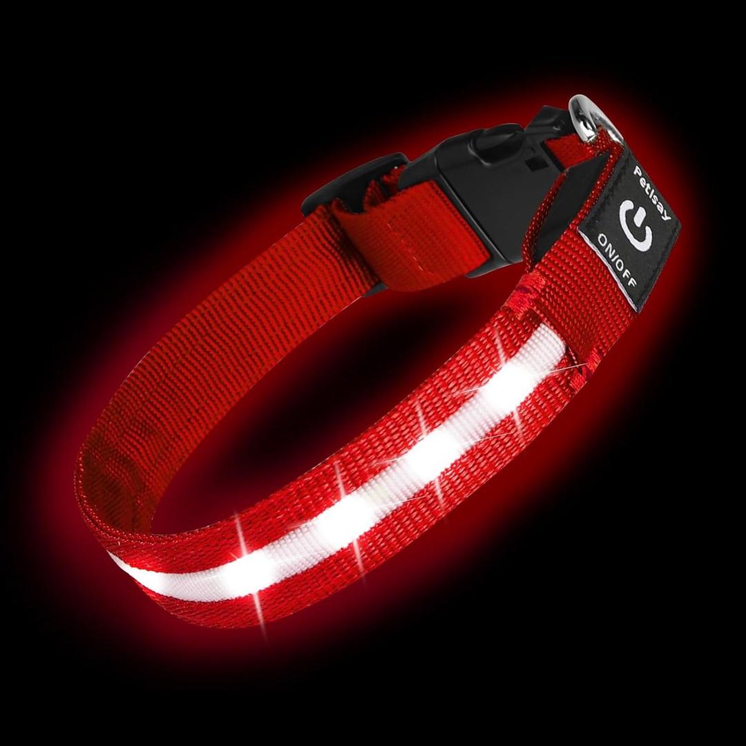 Super Bright LED Dog Collar - Fully Waterproof & Adjustable Glow Collar - USB-C Rechargeable for Night Walking, Safety - Flashing Lighted Collar for Dogs(Red,Large)