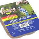 Audubon Park 13066 Berry Treat Suet Cake Wild Bird Food, 11.75-Ounces