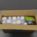 Fun Express Kids Bowling Set - 10 Colorful Plastic Bowling Pins & 2 Balls for Toddler Sports Toys | Indoor Outdoor Games for Toddlers Ages 1-3 & 2-4 | Perfect Birthday Party Entertainment - 12 Pieces