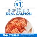 Purina ONE Plus High Protein Cat Food Dry Salmon and Ocean Whitefish Cat Skin and Coat Health Formula - 3.5 lb. Bag (EXP 03/01/27)