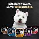 Cesar Wet Dog Food Classic Loaf in Sauce Grilled Chicken, Filet Mignon, Porterhouse Steak, Beef, Chicken & Liver and Turkey Variety Pack 3.5 oz. Easy Peel Trays (36 Count, Pack of 1)
