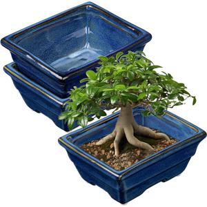 Bonsai Pots Shallow Succulent Planters for Live Bonsai Trees Set of 2, 6.3" Ceramic Pot for Succulents Indoor with Drainage Hole, Outdoor Cactus Plant Bonsai Pot, Ceramic Flower Pot (Blue)