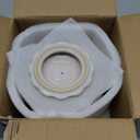 Garlic Storage Pod Ceramic Garlic Keeper with Lid Large Garlic Container for Counter, White