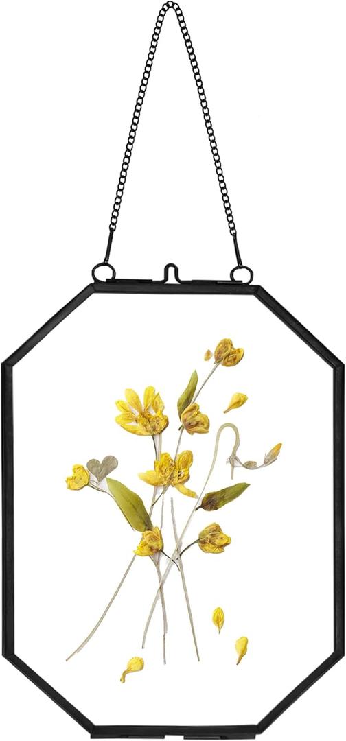 Pressed Flower Frames, Glass Floating Frames for Display Dried Plant Specimen Picture, Hanging Brass Photo Frame with Chain, Double Clear Glass, Vintage Wall Decor, Octagon, Black, 5x7 Inches (5 X 7 inches)