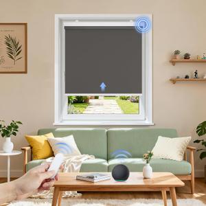 Grandekor Motorized Roller Shade with Remote Control, Motorized Blinds100% Blackout Electric Shades, Cordless Window Blinds Shades for Bedroom Living Room Office, Dark Grey, W28 xH72